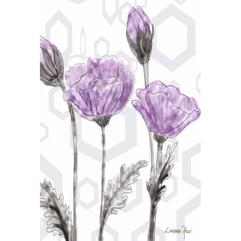 Poppy Arch Rect 2 White Modern Wood Framed Art Print by Rossi, Lorraine