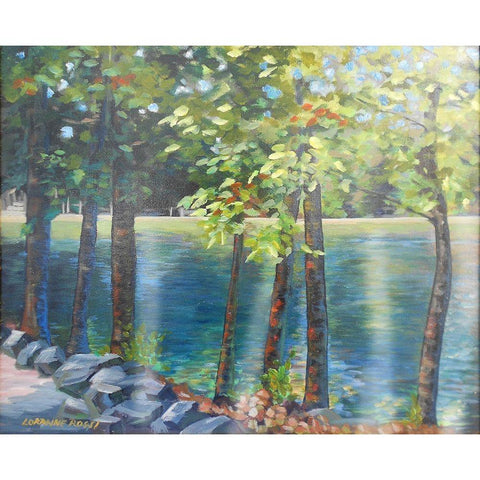 Balsom Park Morning Black Modern Wood Framed Art Print with Double Matting by Rossi, Lorraine