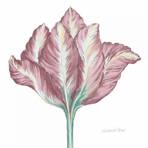 Romantic Tulip 2 White Modern Wood Framed Art Print with Double Matting by Rossi, Lorraine