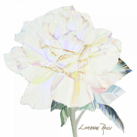 Peace Rose 1 Black Modern Wood Framed Art Print by Rossi, Lorraine