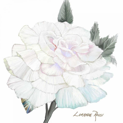 Peace Rose 2 Black Ornate Wood Framed Art Print with Double Matting by Rossi, Lorraine