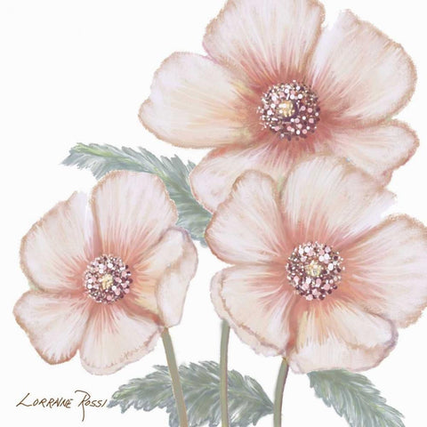 Pink Poppies 1 Gold Ornate Wood Framed Art Print with Double Matting by Rossi, Lorraine