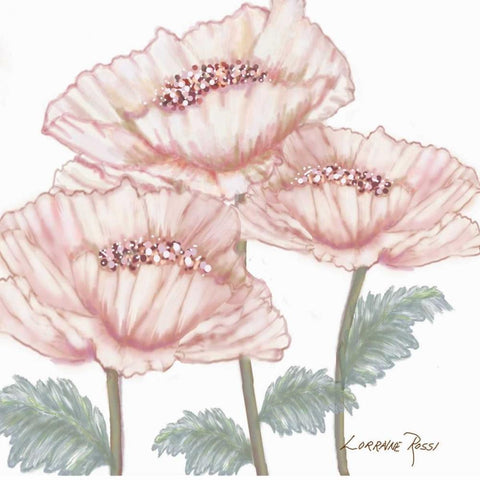 Pink Poppies 2 White Modern Wood Framed Art Print by Rossi, Lorraine