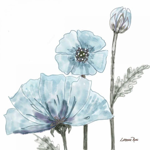 Poppy Perched 2 Black Modern Wood Framed Art Print by Rossi, Lorraine