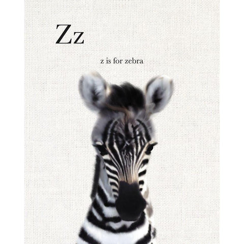 Baby Zebra Linen White Modern Wood Framed Art Print by Straatsma, Leah