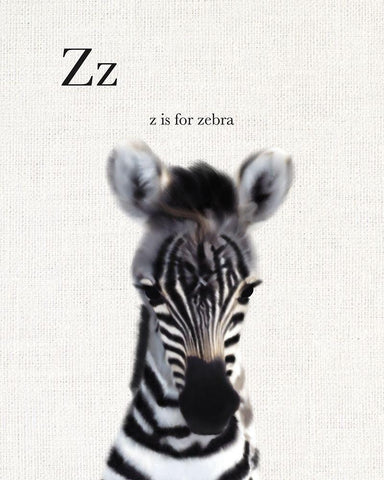 Baby Zebra Linen White Modern Wood Framed Art Print with Double Matting by Straatsma, Leah