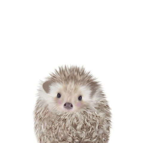 Hedgehog White Modern Wood Framed Art Print by Straatsma, Leah