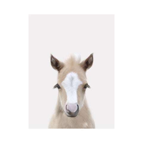 Baby Horse 1 White Modern Wood Framed Art Print by Straatsma, Leah