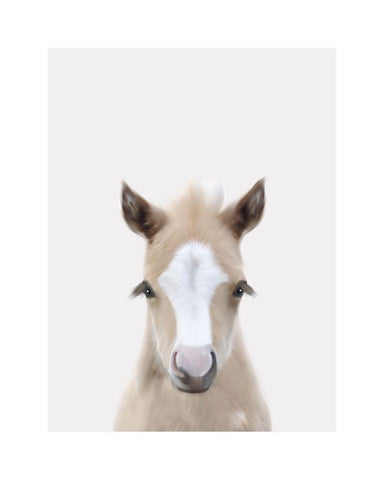 Baby Horse 1 White Modern Wood Framed Art Print with Double Matting by Straatsma, Leah