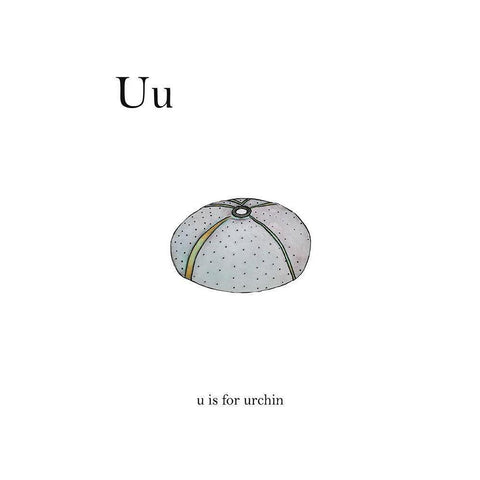 U is For Urchin Black Modern Wood Framed Art Print with Double Matting by Straatsma, Leah