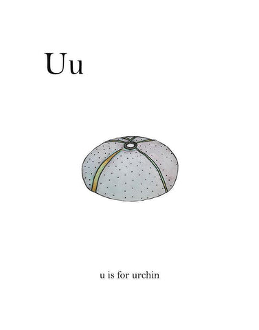 U is For Urchin White Modern Wood Framed Art Print with Double Matting by Straatsma, Leah