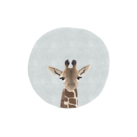 Baby Giraffe Black Modern Wood Framed Art Print with Double Matting by Straatsma, Leah