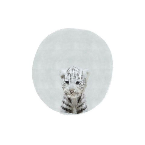 Baby White Tiger White Modern Wood Framed Art Print by Straatsma, Leah