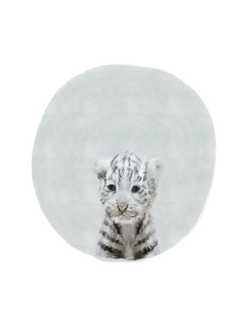 Baby White Tiger Black Ornate Wood Framed Art Print with Double Matting by Straatsma, Leah