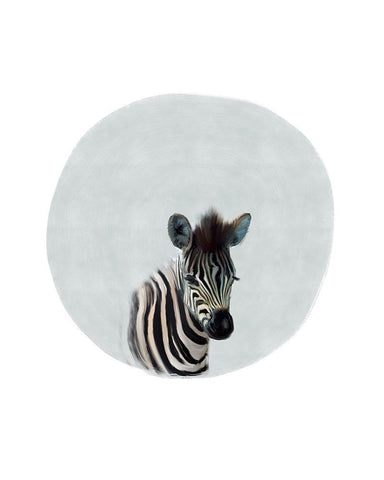 Baby Zebra White Modern Wood Framed Art Print with Double Matting by Straatsma, Leah