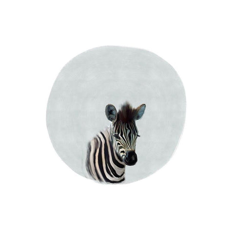 Baby Zebra Black Modern Wood Framed Art Print with Double Matting by Straatsma, Leah