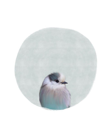 Baby Circle Bird White Modern Wood Framed Art Print with Double Matting by Straatsma, Leah