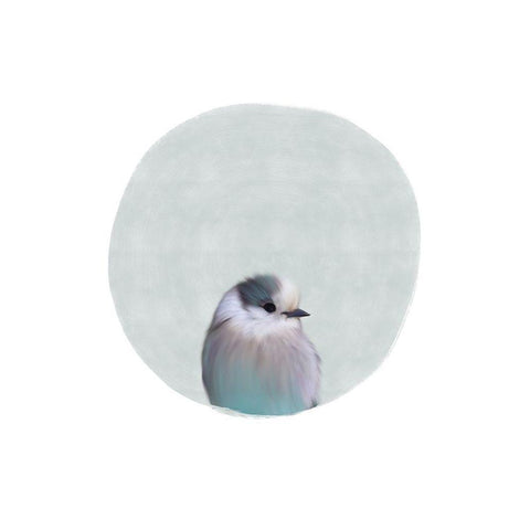 Baby Circle Bird White Modern Wood Framed Art Print by Straatsma, Leah