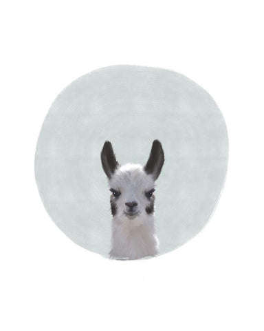 Baby Circle Llama White Modern Wood Framed Art Print with Double Matting by Straatsma, Leah