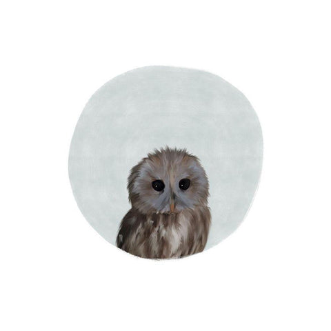 Baby Owl Circle White Modern Wood Framed Art Print by Straatsma, Leah