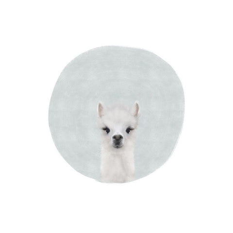 Baby Alpaca White Modern Wood Framed Art Print by Straatsma, Leah