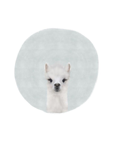 Baby Alpaca White Modern Wood Framed Art Print with Double Matting by Straatsma, Leah