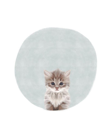 Baby Circle Kitten White Modern Wood Framed Art Print with Double Matting by Straatsma, Leah