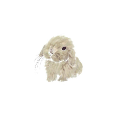 Baby Bunny White Modern Wood Framed Art Print by Straatsma, Leah