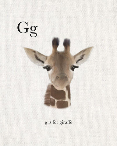 G is for Giraffe White Modern Wood Framed Art Print with Double Matting by Straatsma, Leah