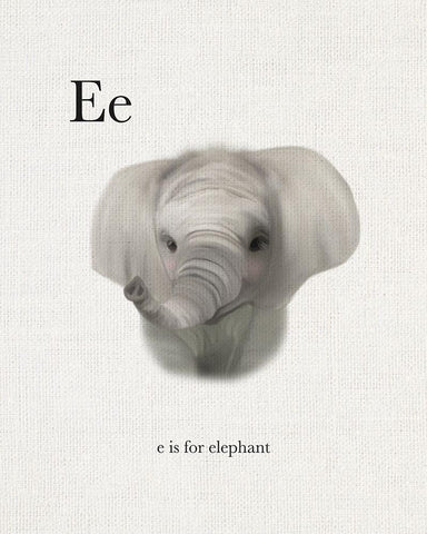 E is for Elephant White Modern Wood Framed Art Print with Double Matting by Straatsma, Leah