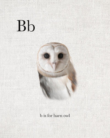 B Barn Owl White Modern Wood Framed Art Print with Double Matting by Straatsma, Leah