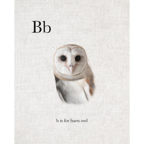 B Barn Owl White Modern Wood Framed Art Print by Straatsma, Leah