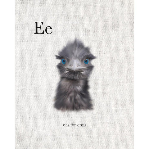 E is for Emu Black Modern Wood Framed Art Print with Double Matting by Straatsma, Leah