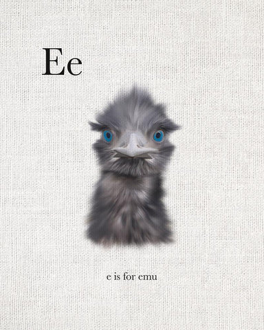 E is for Emu Black Ornate Wood Framed Art Print with Double Matting by Straatsma, Leah