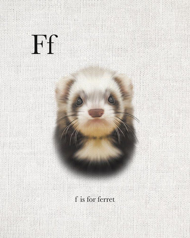 F is for Ferret Black Ornate Wood Framed Art Print with Double Matting by Straatsma, Leah