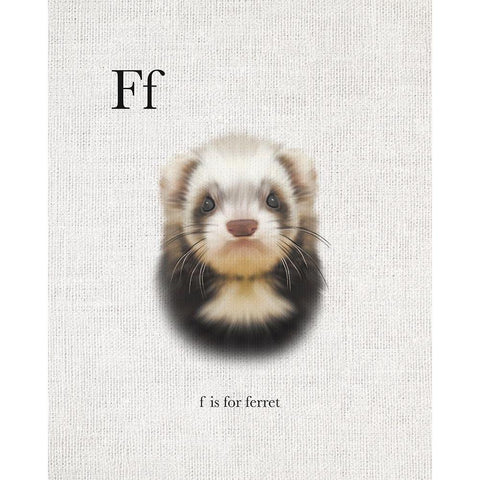 F is for Ferret White Modern Wood Framed Art Print by Straatsma, Leah