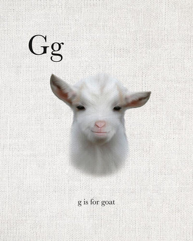 G is for Goat Black Ornate Wood Framed Art Print with Double Matting by Straatsma, Leah