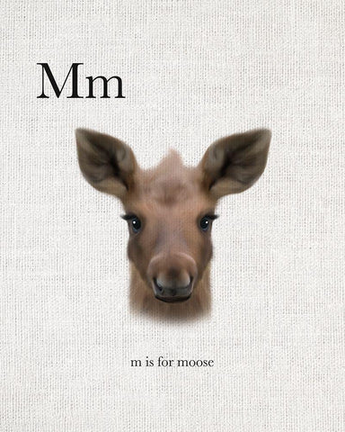 M is for Moose White Modern Wood Framed Art Print with Double Matting by Straatsma, Leah