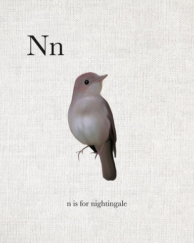 N is for Nightingale Black Ornate Wood Framed Art Print with Double Matting by Straatsma, Leah