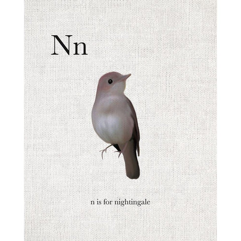 N is for Nightingale Black Modern Wood Framed Art Print with Double Matting by Straatsma, Leah