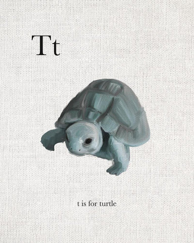 T is for Turtle White Modern Wood Framed Art Print with Double Matting by Straatsma, Leah