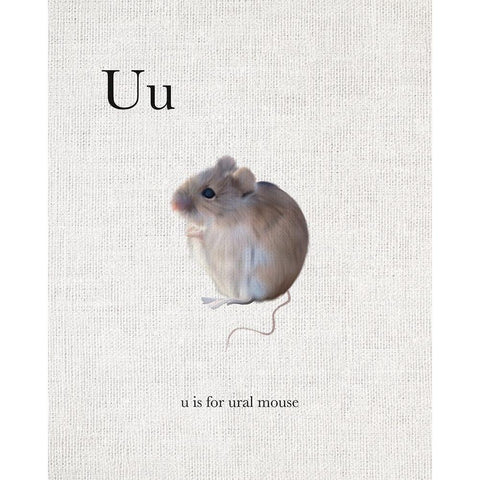 U is for Ural Mouse Black Modern Wood Framed Art Print with Double Matting by Straatsma, Leah