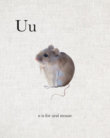 U is for Ural Mouse White Modern Wood Framed Art Print with Double Matting by Straatsma, Leah