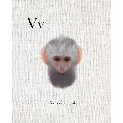 V is for Vervet Monkey White Modern Wood Framed Art Print by Straatsma, Leah