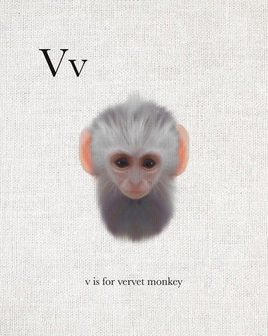 V is for Vervet Monkey Black Ornate Wood Framed Art Print with Double Matting by Straatsma, Leah