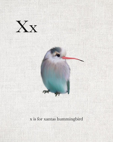 X is for Xantas Hummingbird Black Ornate Wood Framed Art Print with Double Matting by Straatsma, Leah