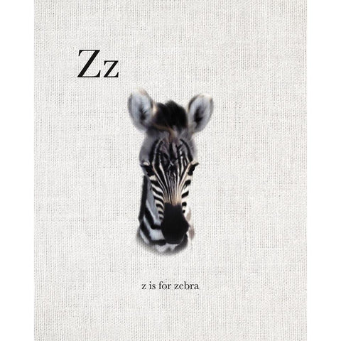 Z is for Zebra Black Modern Wood Framed Art Print with Double Matting by Straatsma, Leah