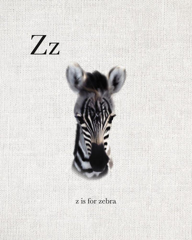 Z is for Zebra Black Ornate Wood Framed Art Print with Double Matting by Straatsma, Leah