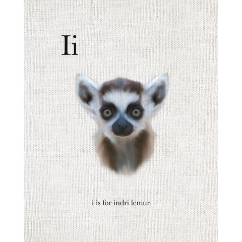 I is for Indri Lemur Black Modern Wood Framed Art Print with Double Matting by Straatsma, Leah