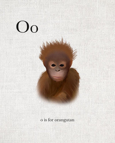 O is for Orangutan Black Ornate Wood Framed Art Print with Double Matting by Straatsma, Leah